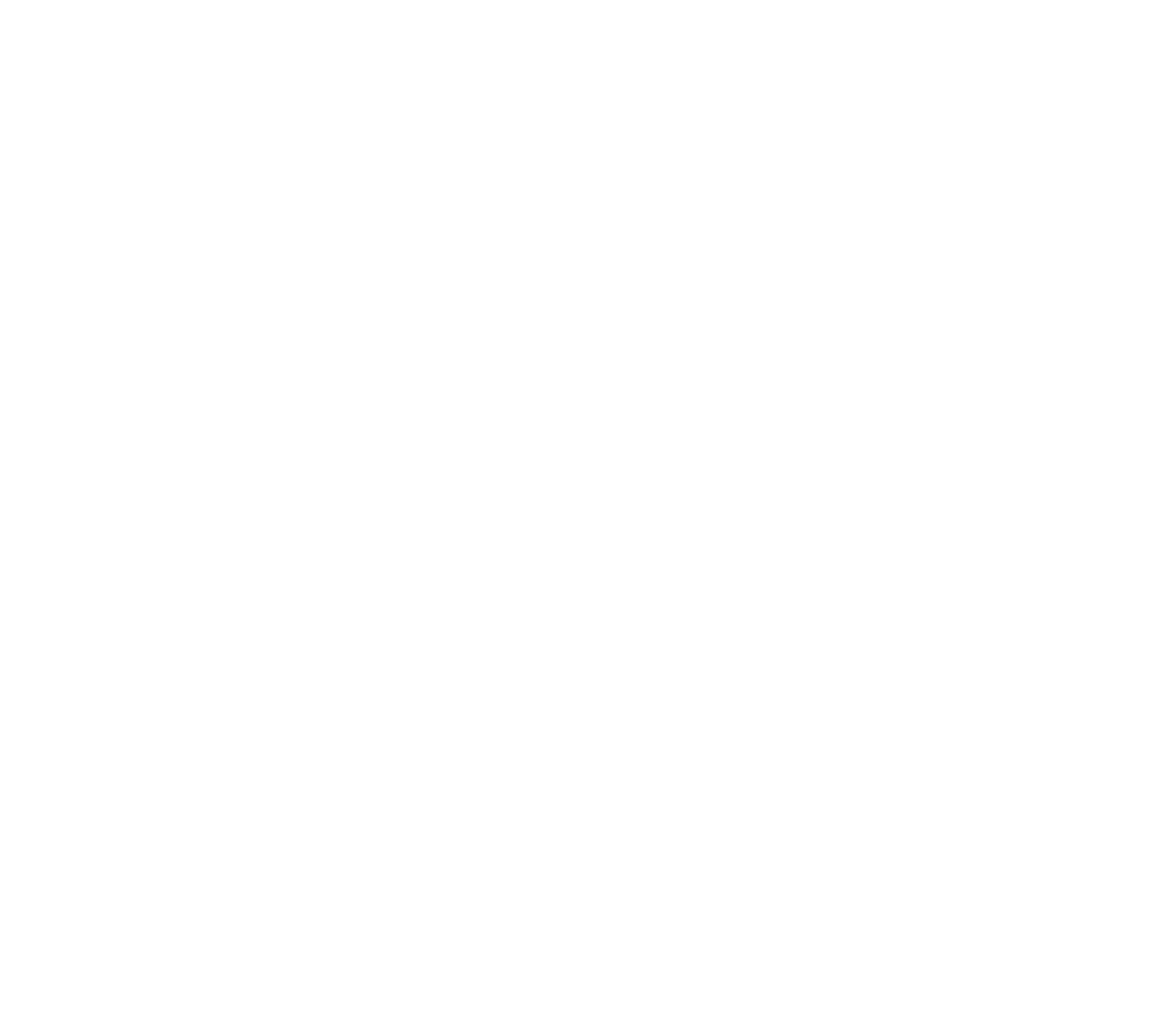 Influencer & Partnership Marketing Icon